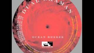 Dual Shaman - Ocean Breeze (TJ Kong & Nuno Dos Santos Remix) - Wolfskuil Ltd 011