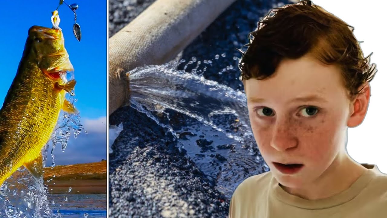 Exploring creation tidbits thumbnail