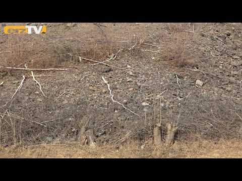 Haldensanierung steht bevor