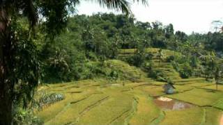 preview picture of video 'Rondreis Indonesië, Java en Bali'