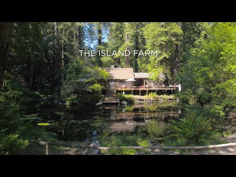 The Island Farm San Gregorio, CA