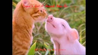 The Pigs - Papa's Got A Brand New Pig Bag (Radio Version) HQ Audio