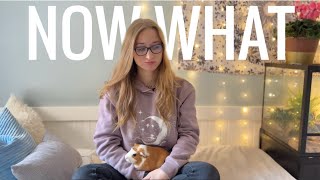 Updates & Future Plans for the Pet Room