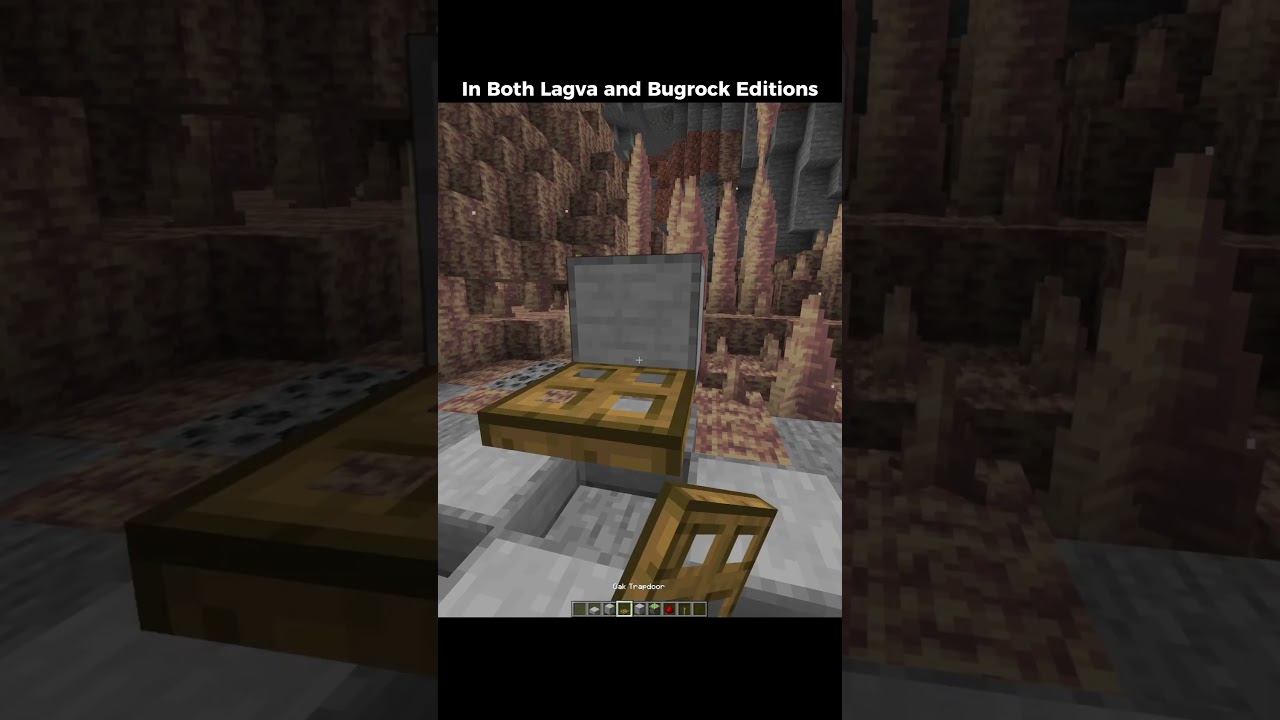 Minecraft: X-ray Glitch Moment #minecraft #shorts #memes