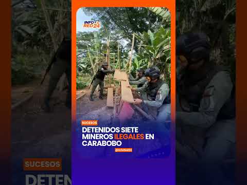 Detenidos siete mineros ilegales en Carabobo