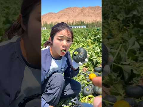 Beautiful Fresh Pumpkin 🎃 Sweet Boiled Pumpkin & Rural Farmer Life #shorts #youtubeshorts