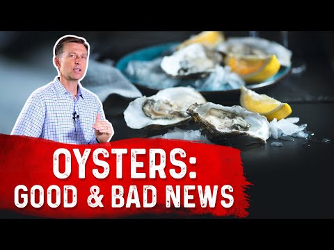 Are Oysters Good For You? – Dr. Berg