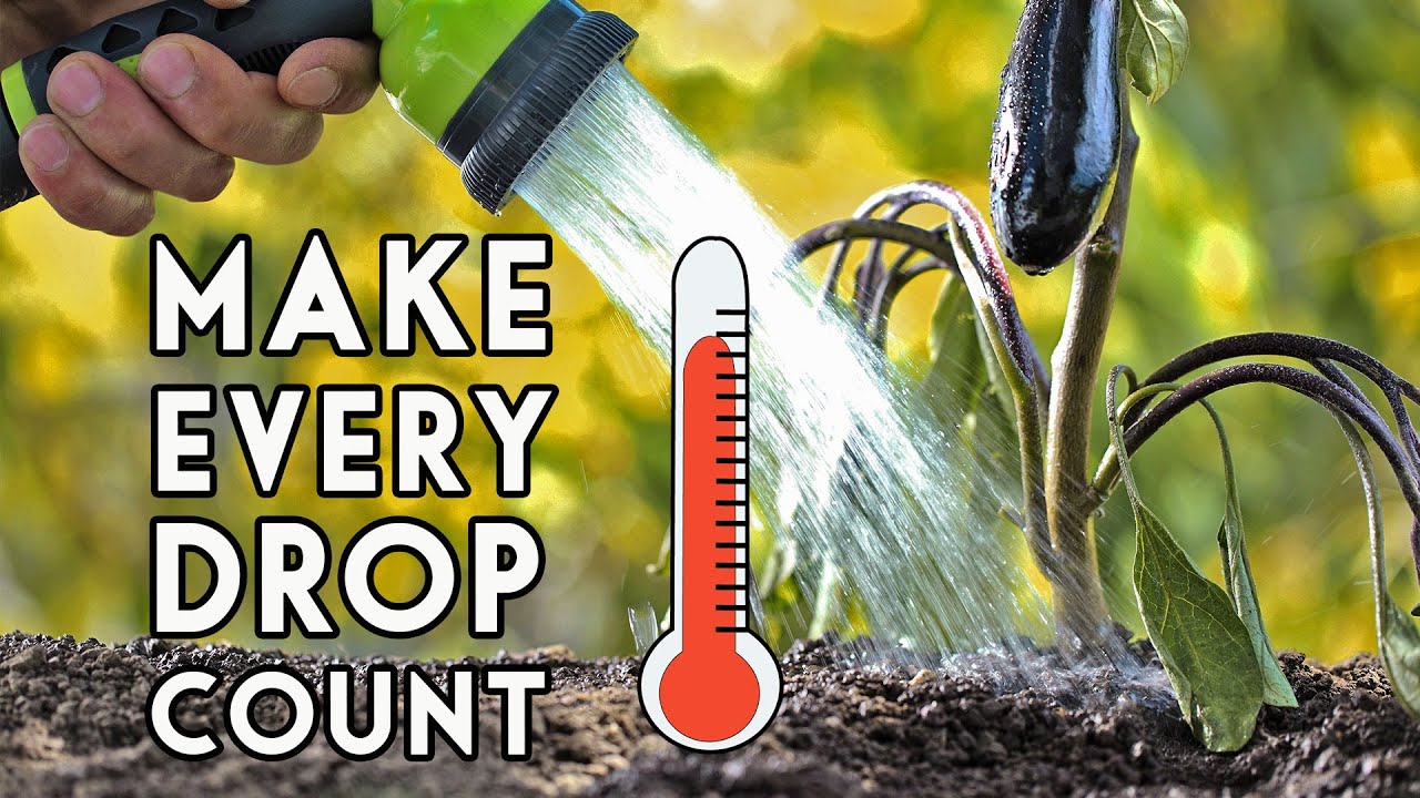 Don't Make These Rookie Watering Mistakes!š§