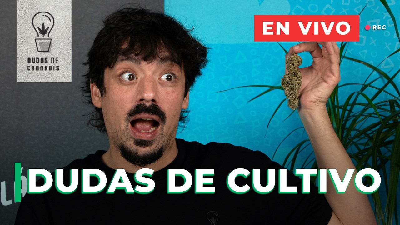LIVE: CÓMO COMBATIR OIDIO Y CONSEJOS DE SECADO