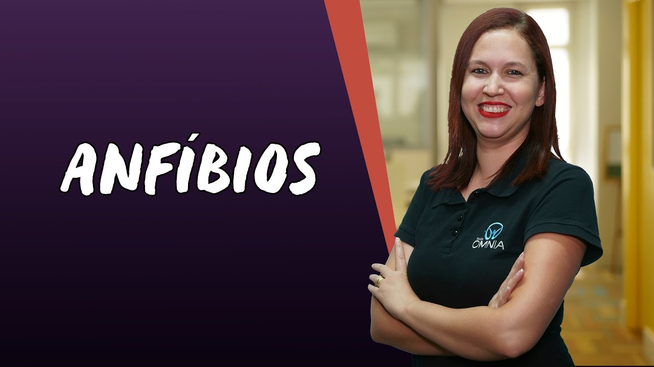 Anfíbios - Brasil Escola