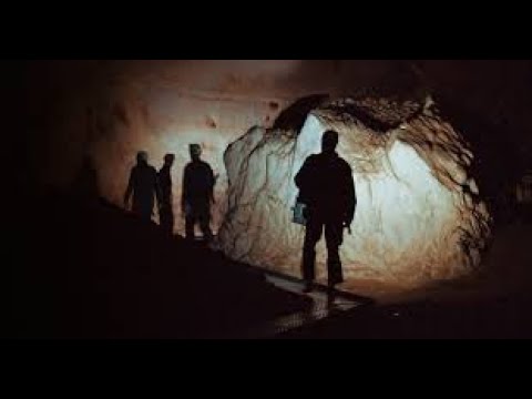 Cave of Forgotten Dreams Full Movie Fast And Review in English  /  Werner Herzog