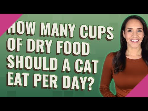 How many cups of dry food should a cat eat per day?