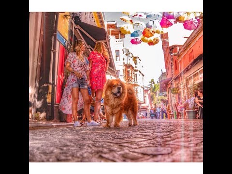 Oraya Mı Gitsek? // Balat