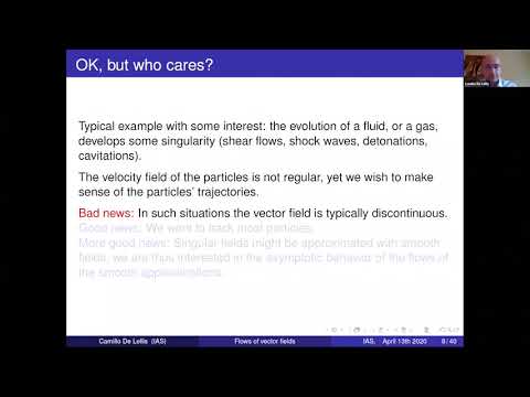 Flows of vector fields: classical and modern - Camillo DeLellis