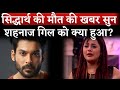 Shehnaaz Gill Reaction Sidharth Shukla Death Sidharth Shukla Death News
