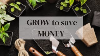 7 Foods to grow to save money at the grocery store #gardeningtips #savingmoney