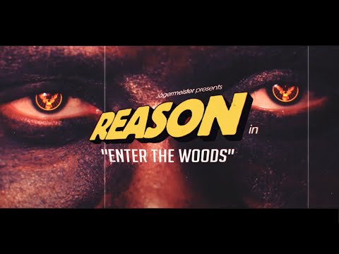 ReasonHD Music Video (OFFICIAL) - Enter The Woods