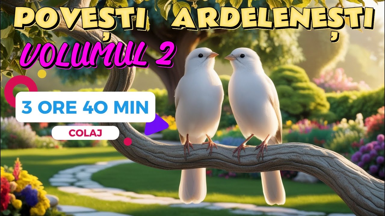 POVESTI ARDELENESTI | VOL 2 | COLAJ 3 ORE 40 MIN | 2024