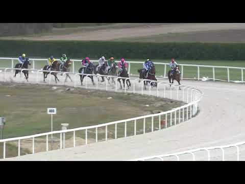 2021.04.25. 02. futam - NYERETLENEK VERSENYE (V.kat.)(szintetikus pálya)