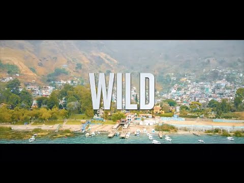 WILD Official Video - META4