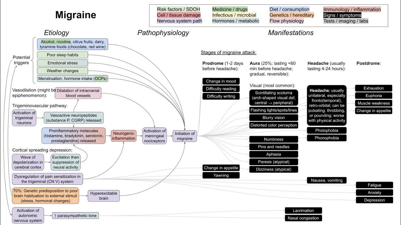 Migraine (mechanism of disease)