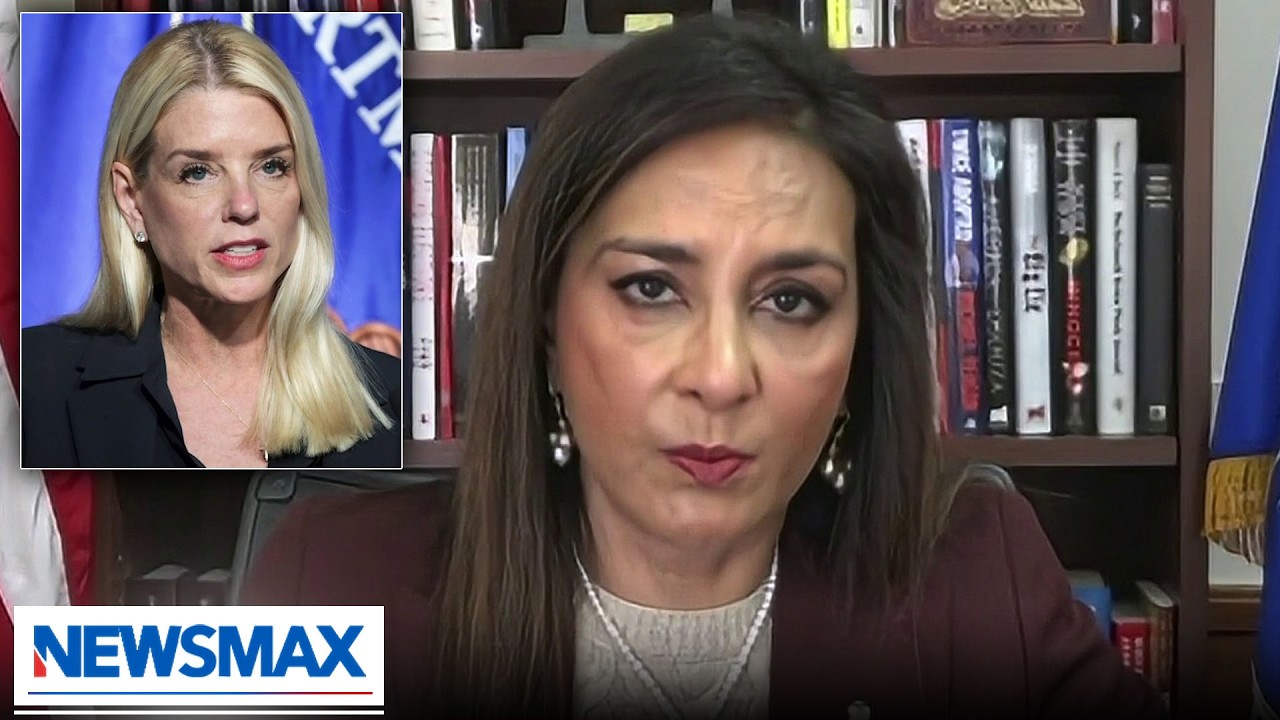 Harmeet Dhillon: I don't see a lot of concern for Epstein victims from Dems | National Report