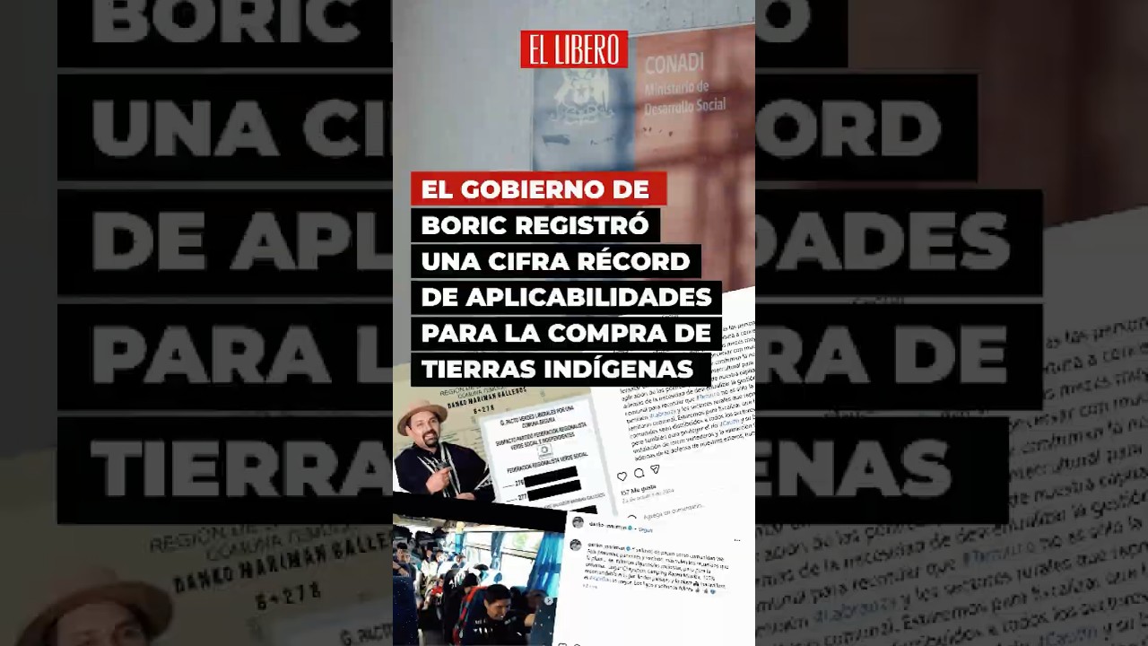Boric's government registered a record number of applications for the purchase of indigenous lands