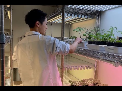 学生インタビュー　研究紹介②　摂南大学農学部　農業生産学科