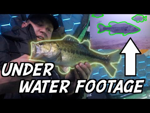 Crazy Underwater Footage! Detroit Lakes MN Ice Fishing 2022