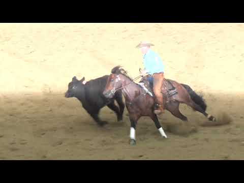 SJR Diamond Mist - Fence