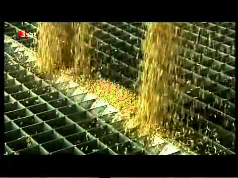 E10 Kraftstoff Sinn und Unsinn vom E10 Benzin