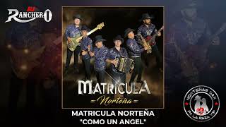 Matricula Norteña - Como Un Angel 2022