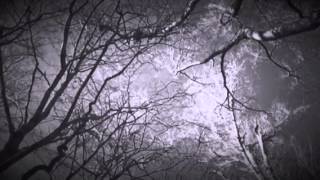 The ghost of hank Williams David Allan Coe