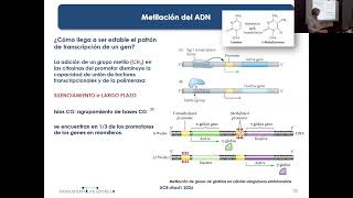 UC8 T1C Bases-Geneticas-Desarrollo-C-Regulacion-Expresion-Genica