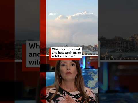 What are 'fire clouds' and how can it spread wildfires? #Wildfires #France #Spain #BBCNews