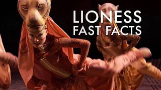 Fast Facts: Lioness