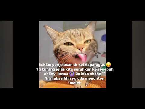 THANKYOU FOR WATCHING ALL ✨️🙂‍↔️🤓