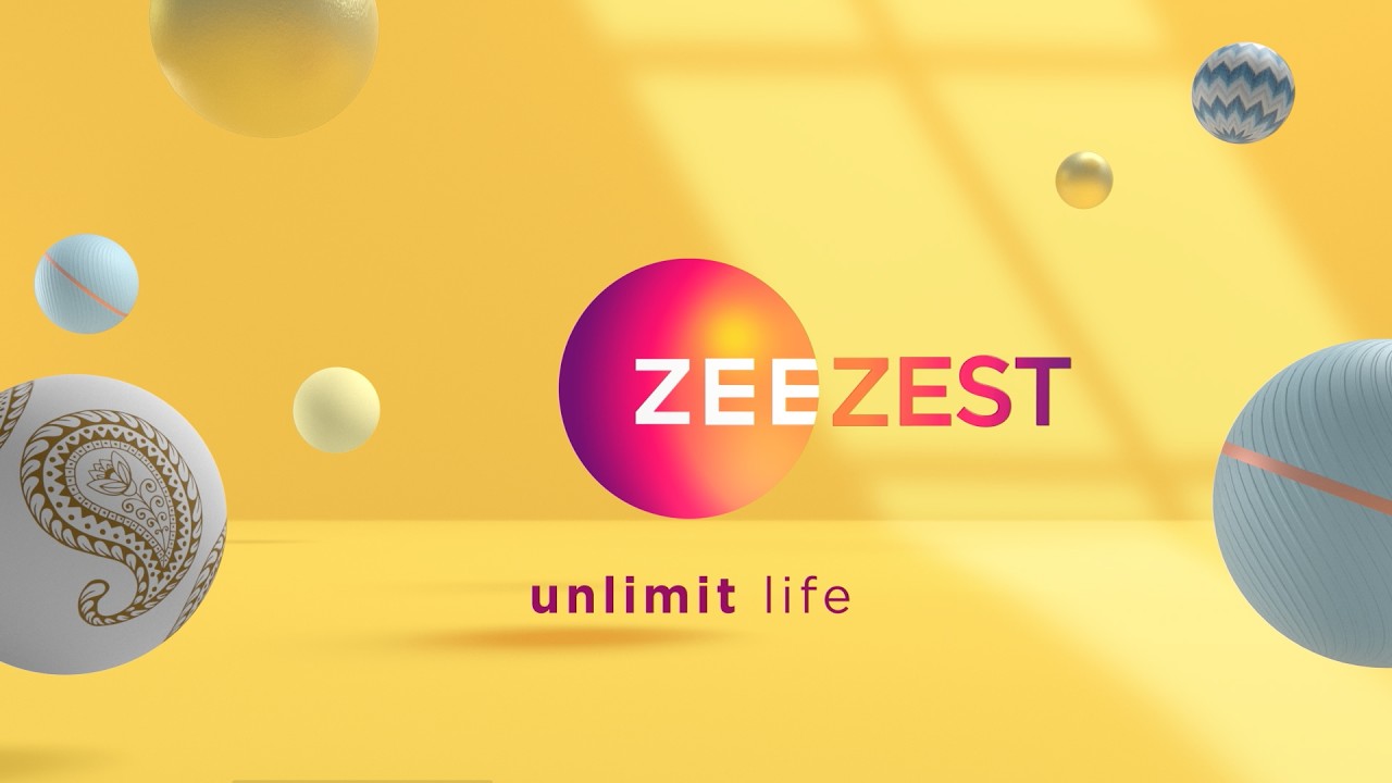 Zee Zest — Channel Brand Identity