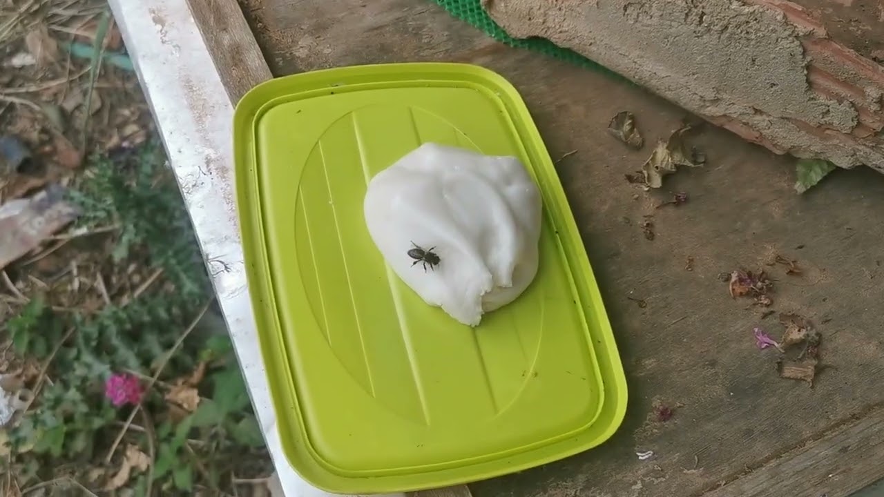 الإنتاج الضخم وإنتاج العسل: أيهما أكثر اقتصادية؟ 💵 💵 أهلاً بعودتك