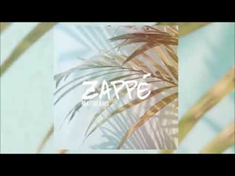 maitre ams  (clips officiels)zappe mtsappere