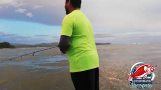 preview picture of video 'Pesca  de jurel (VERAGUAS)'