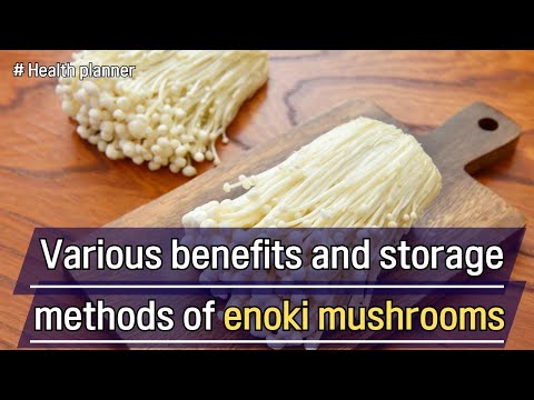 Various benefits and storage methods of enoki mushrooms