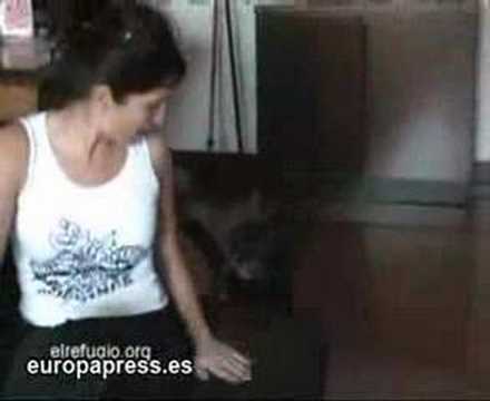 Regresa a su casa después de tres meses perdido