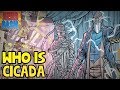 Who is Dc Comic's Cicada? New Flash Season 5 Villain Explained (Nerdgasm Quickie)