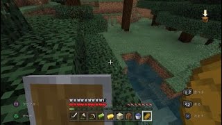 【PS4】 #35 ～エンドラアタック 勝手にワンデスリセット Part29～【Minecraft】
