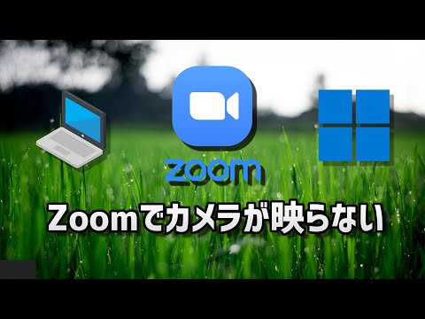 Zoom がカメラを認識しない: Zoom に画像が表示されない場合はどうすればよいですか?