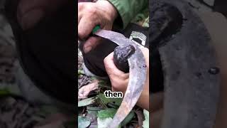 [問卦] 亞答只到底有沒有問題？