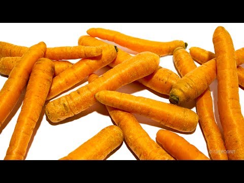 Carrots Timelapse