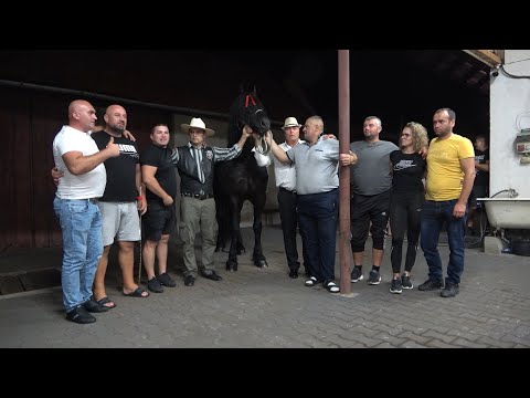 Fabrica de carute Gilau, Cluj Dl Dan isi serbeaza ziua de Nastere ep. 87 - 2022 Nou!!!