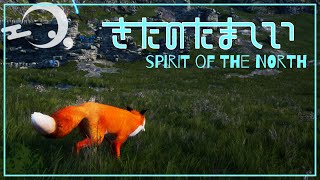 【Spirit of the North】 きつねのぼうけん 【きたのたましい】